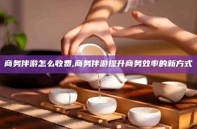 句容商务伴游怎么收费,商务伴游提升商务效率的新方式